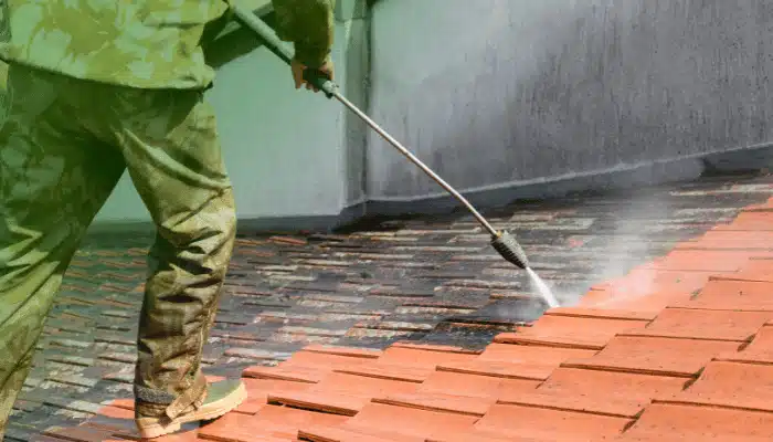 Roof Cleaning