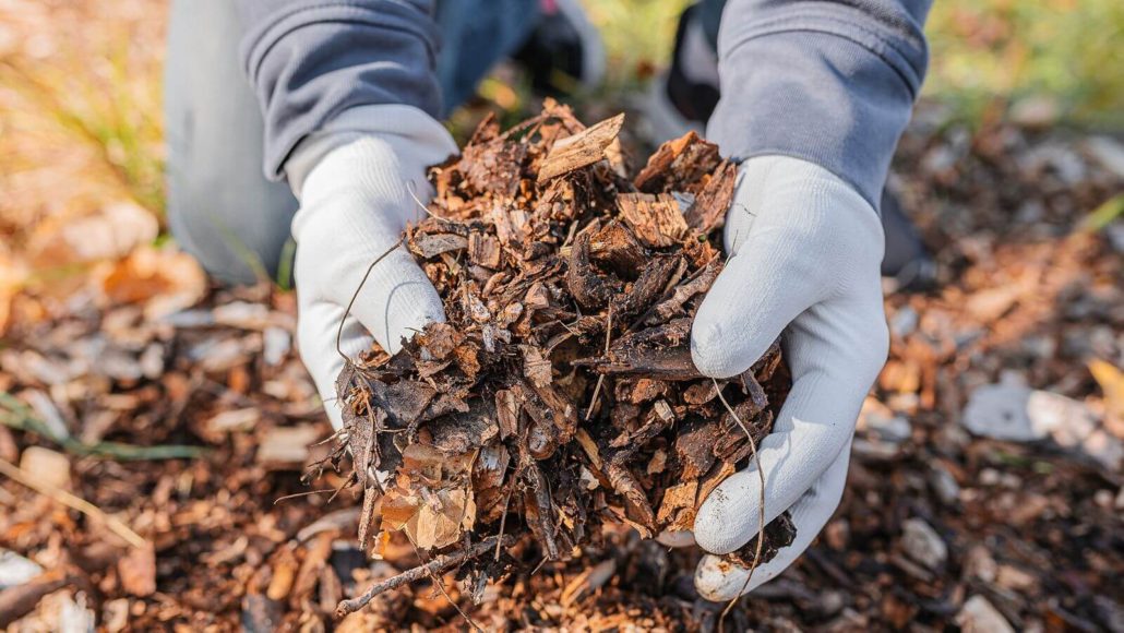 Creating Compost