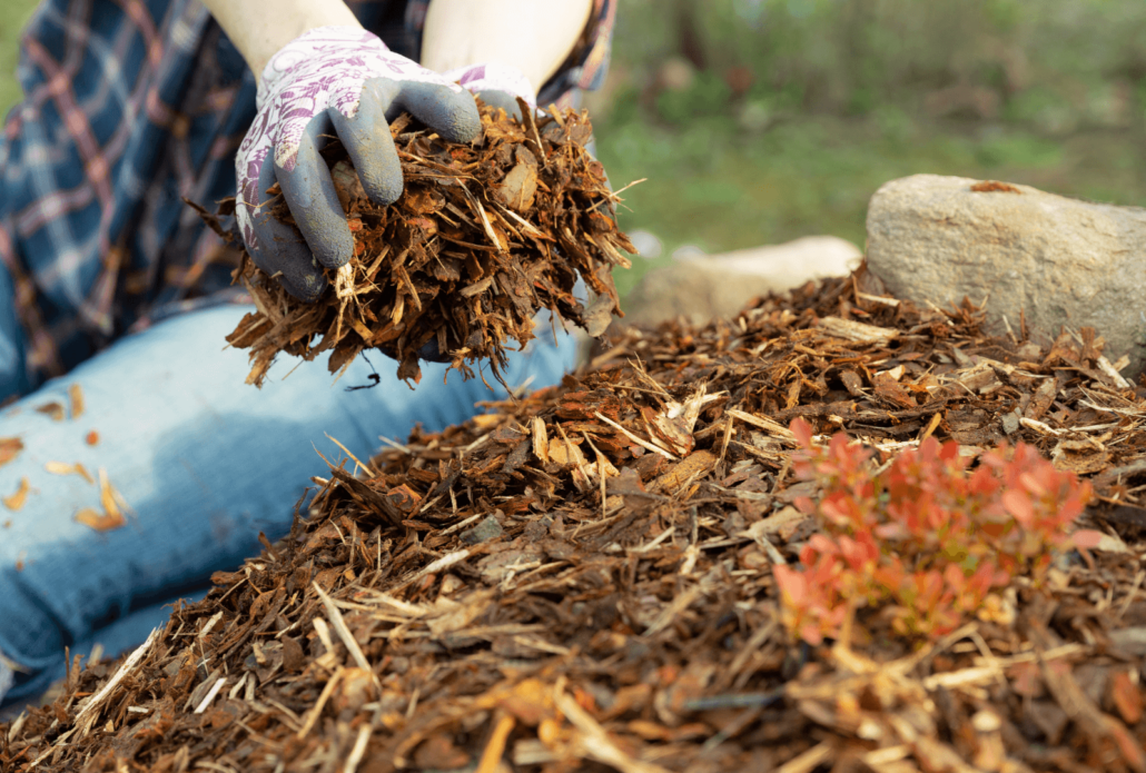 mulching your garden beds