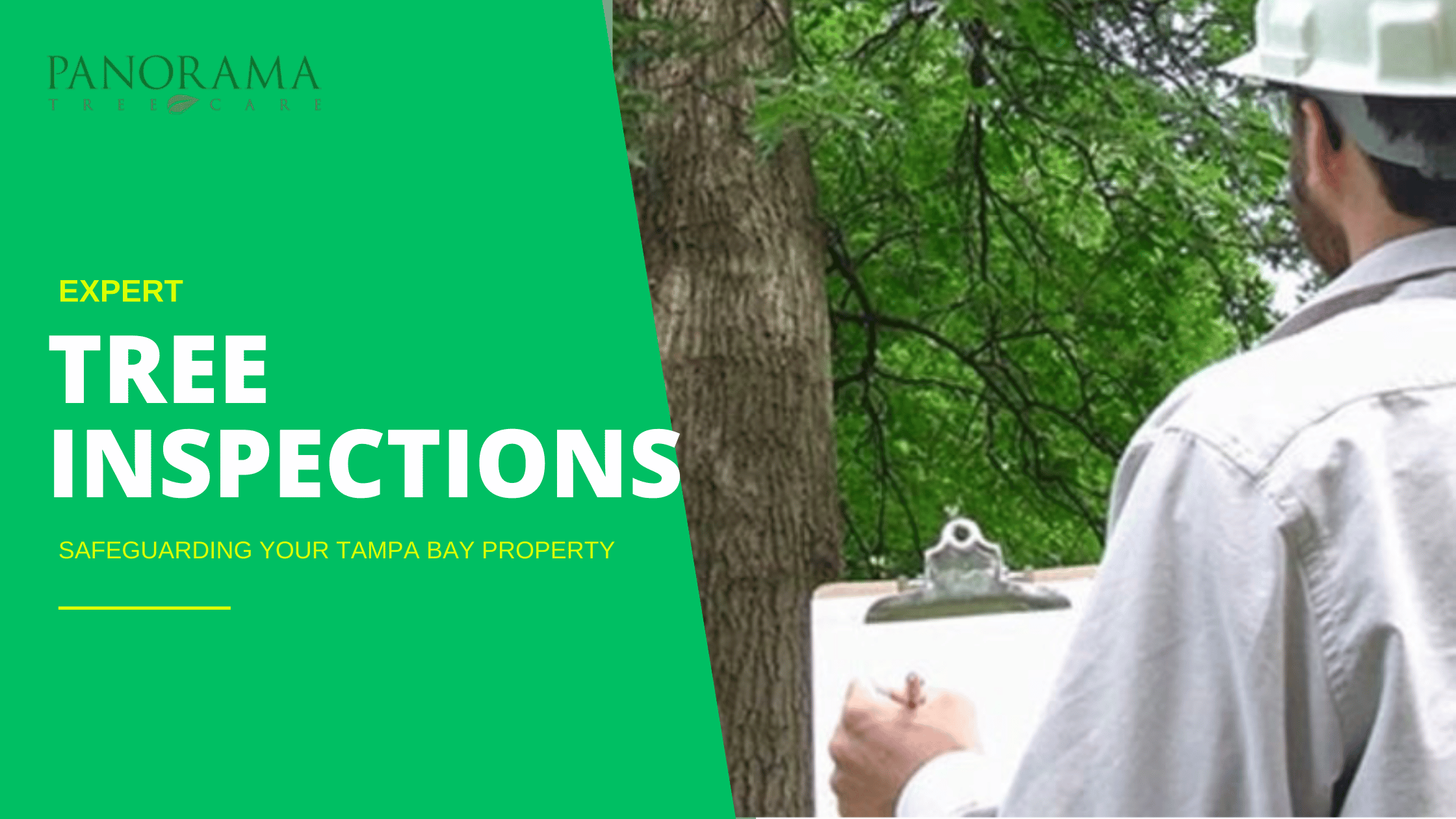 Benefits of Regular Professional Tree Inspections