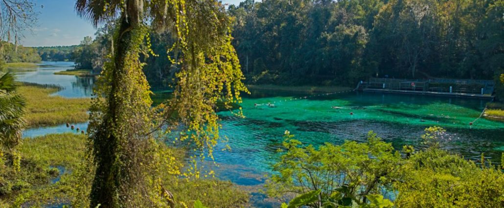 Spring season in florida