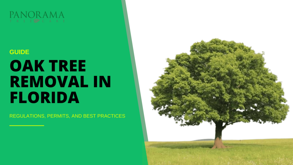 florida Oak Tree Removal regulations