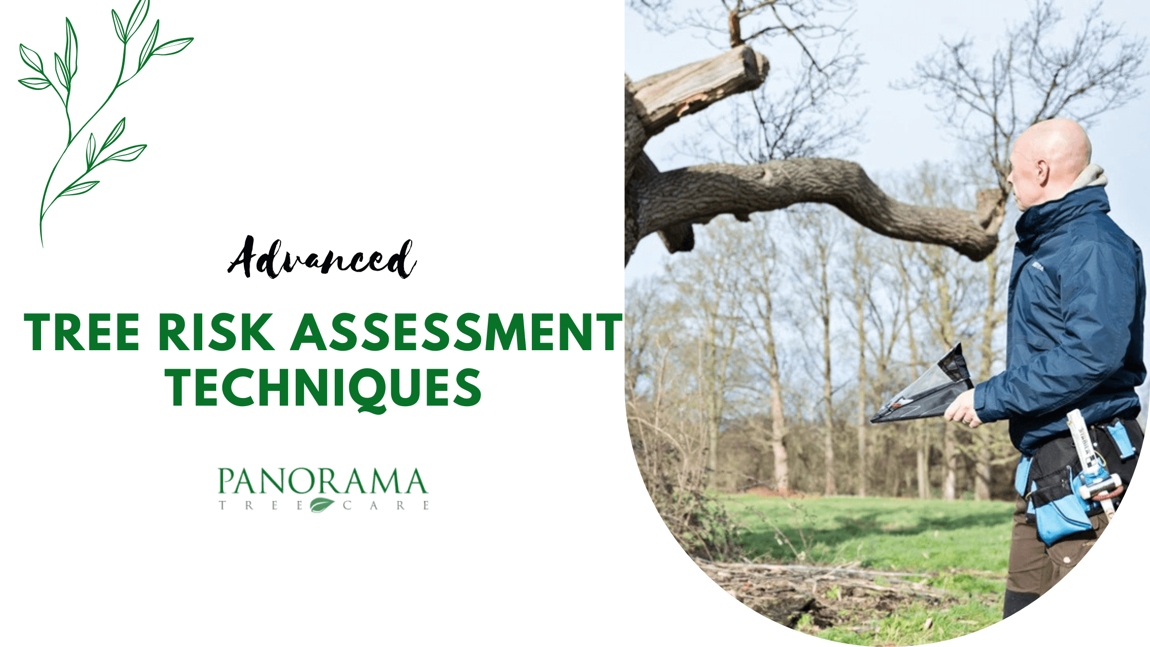 Advanced Tree Risk Assessment Techniques