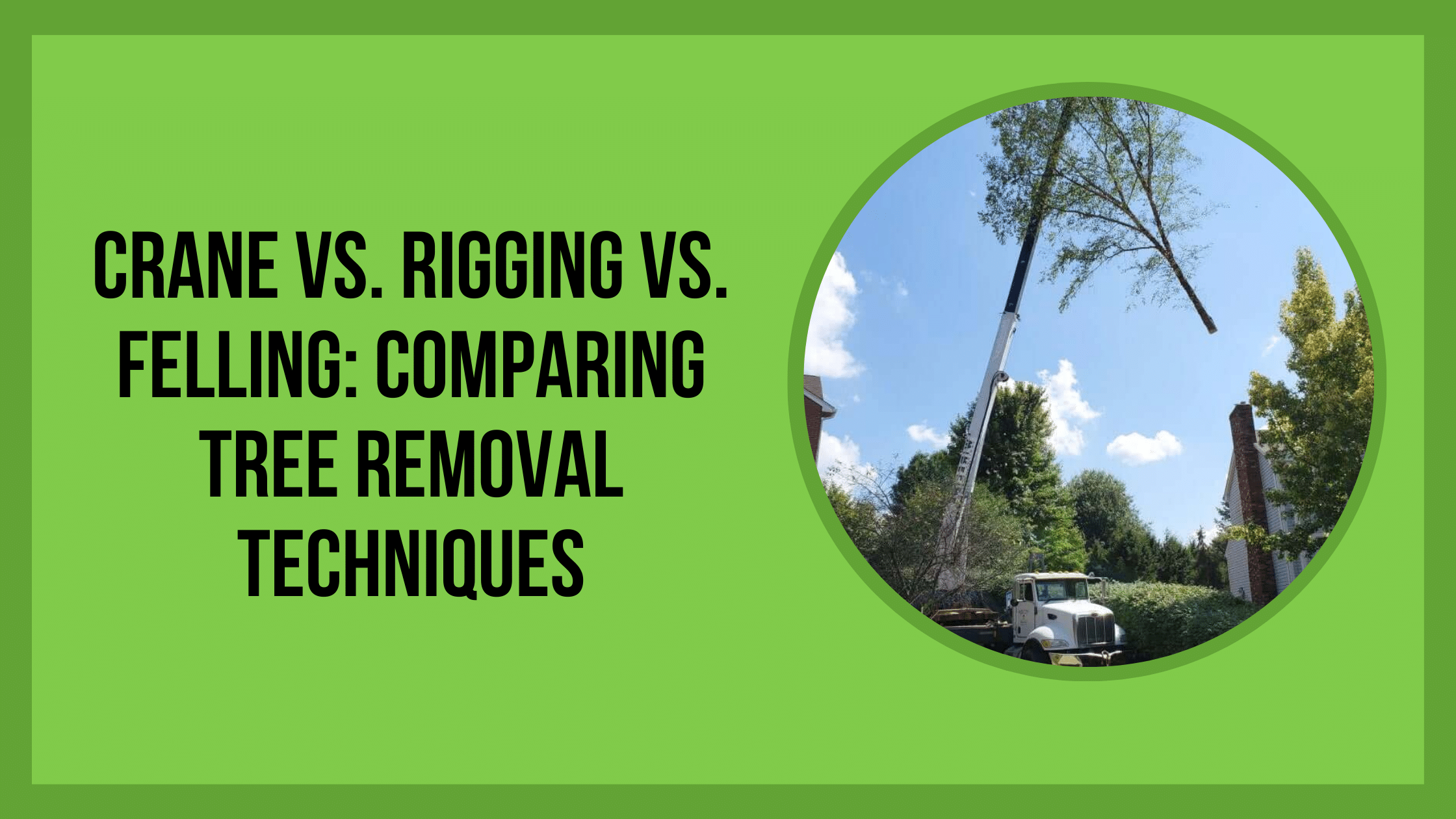 Crane vs. Rigging vs. Felling_ Comparing Tree Removal Techniques