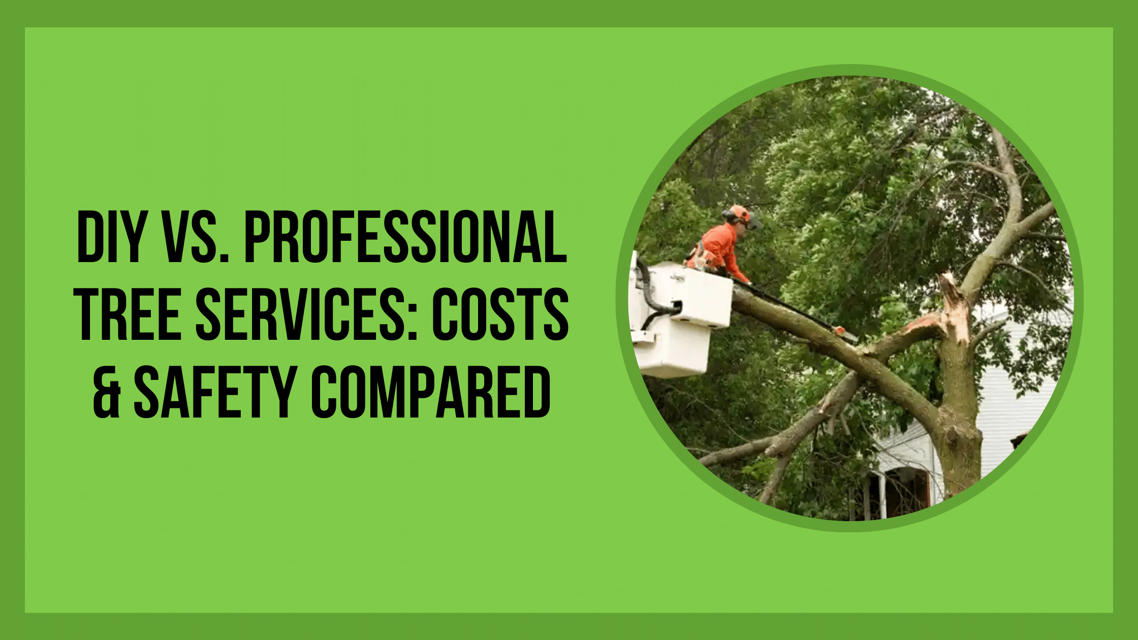 DIY vs. Professional Tree Services_ Costs & Safety Compared