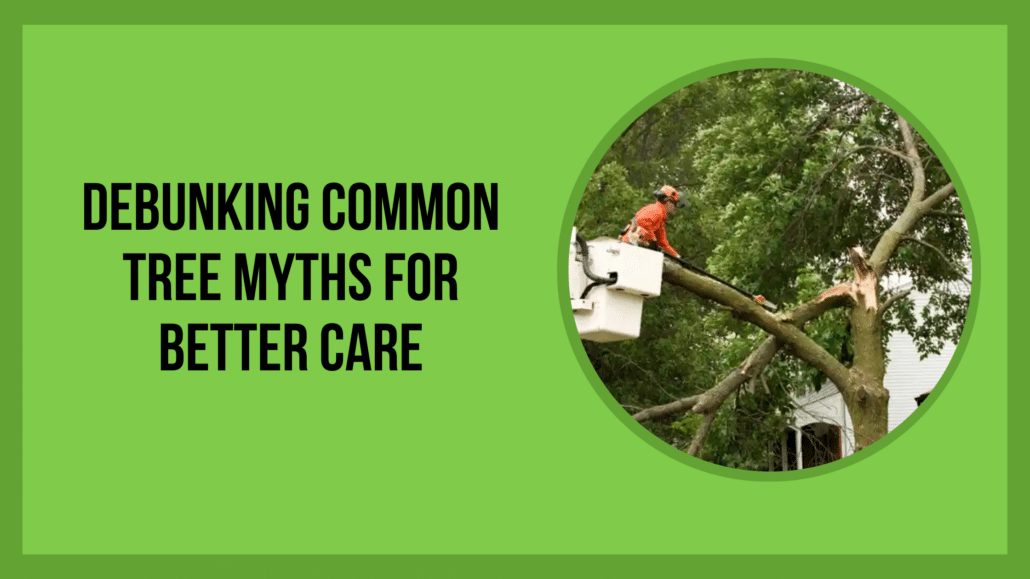 Debunking Common Tree Myths for Better Care