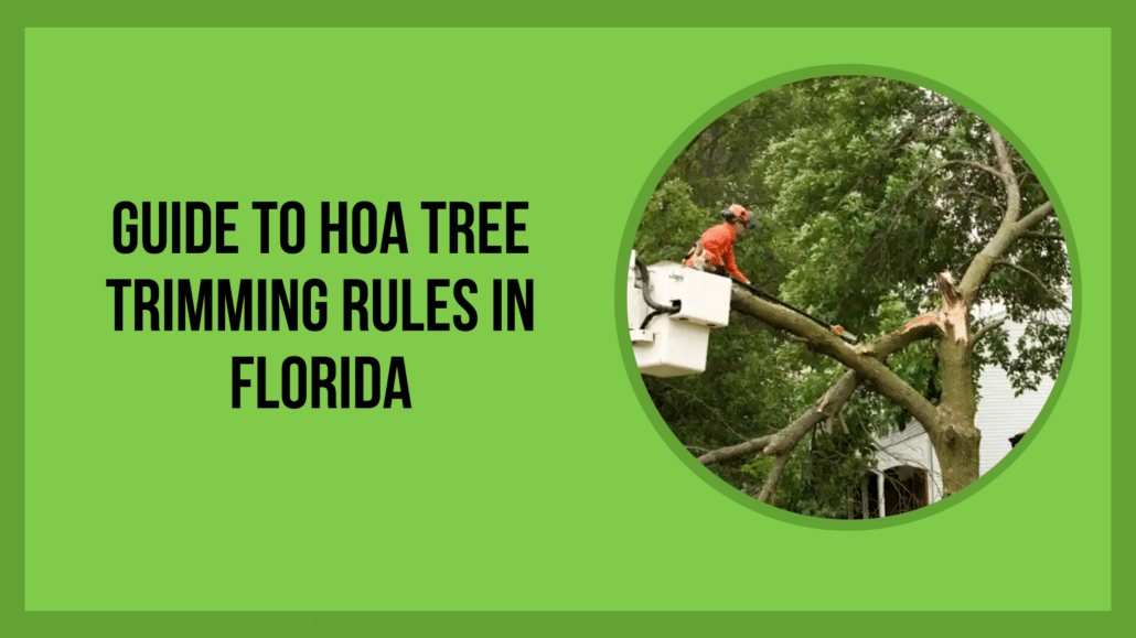 Guide to HOA Tree Trimming Rules in Florida