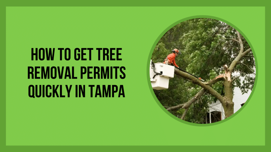 How to Get Tree Removal Permits Quickly in Tampa