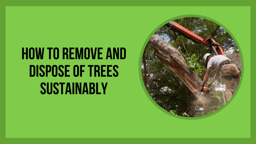 How to Remove and Dispose of Trees Sustainably