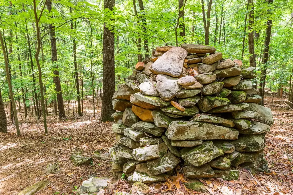 Indian Rocks Giant Pine