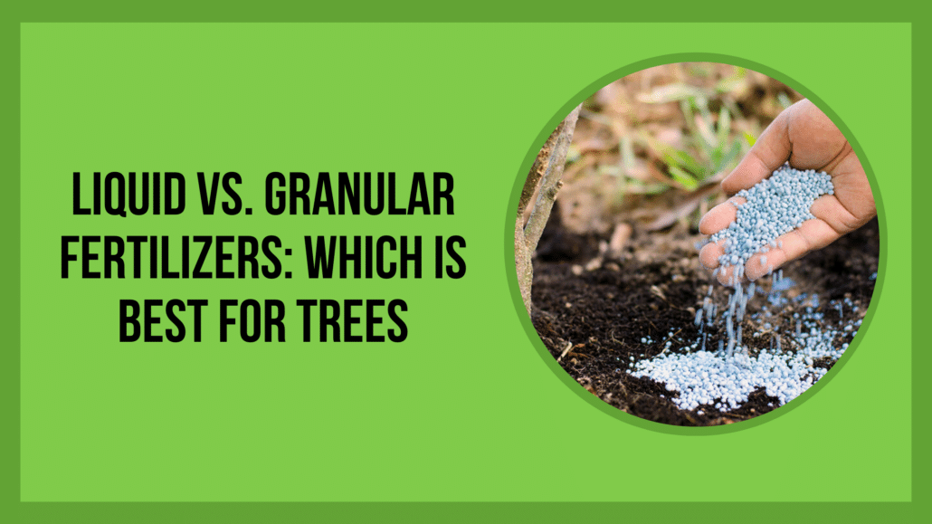 Liquid vs. Granular Fertilizers_ Which is Best for Trees