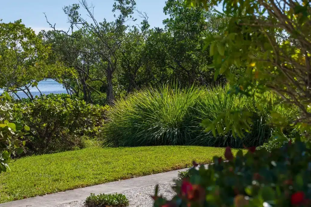 Why Privacy Landscaping is Crucial in Tampa