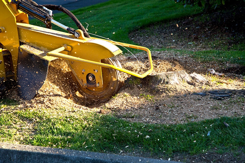 Stump Grinding tampa, FL